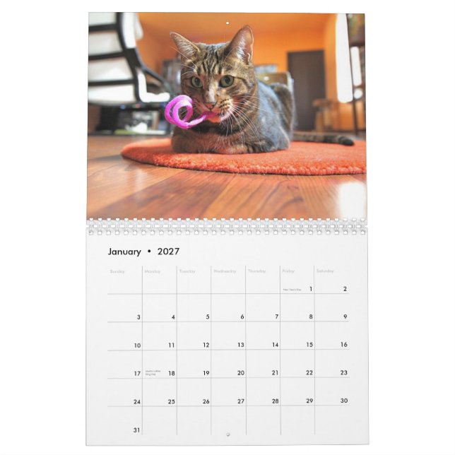 Calendrier Mural Mooki et Kiko 2010 (Jan 2027)