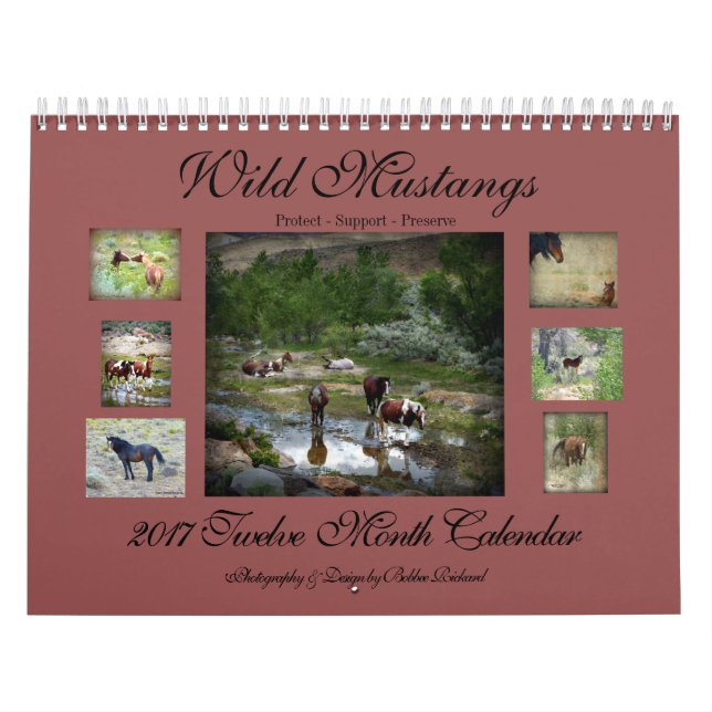 Calendrier Mural Mustangs sauvages 2017 (Protection)
