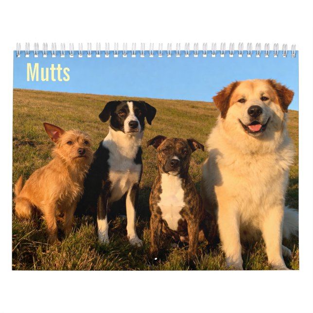 Calendrier mural Mutts 2027 (Protection)