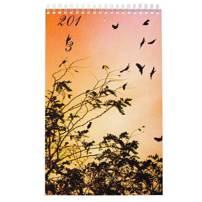 Calendrier Mural nouveaux espoirs (Protection)