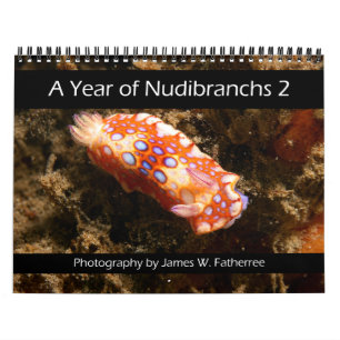 Calendrier mural Nudibranche 2 par J. Fatherree