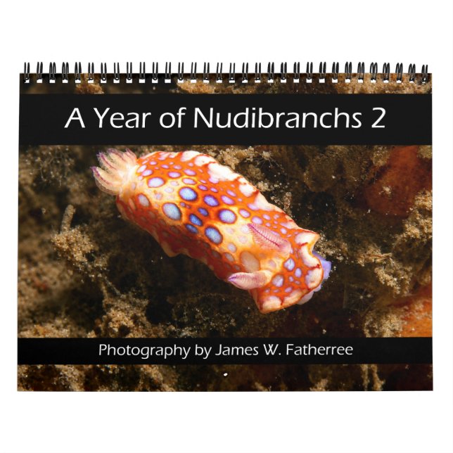 Calendrier mural Nudibranche 2 par J. Fatherree (Protection)