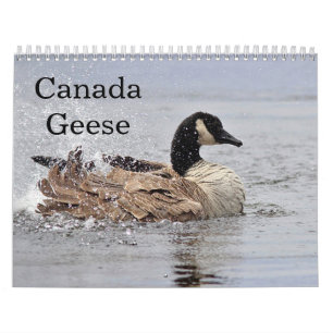 Calendrier Mural Oies du Canada