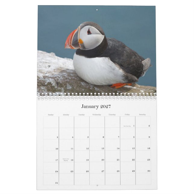Calendrier Mural Oiseau Calaender 2013-2014 (Jan 2027)