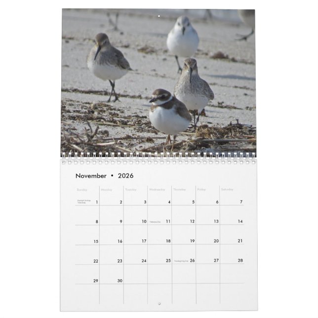 Calendrier Mural Oiseaux aquatiques (Nov 2026)