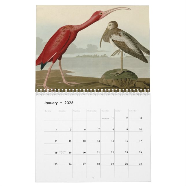 Calendrier Mural Oiseaux de l'Amérique (Jan 2026)