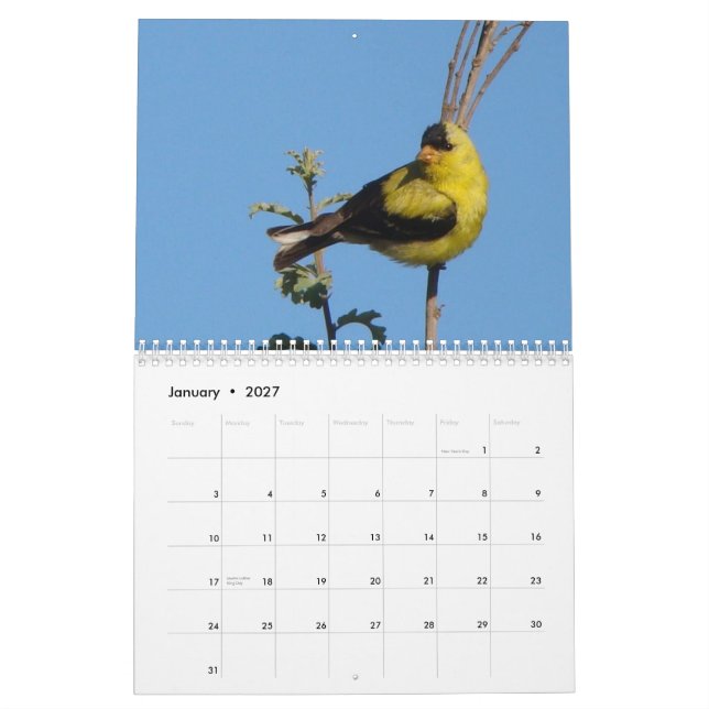 Calendrier Mural Oiseaux de l'Amérique du Nord 2011 (Jan 2027)