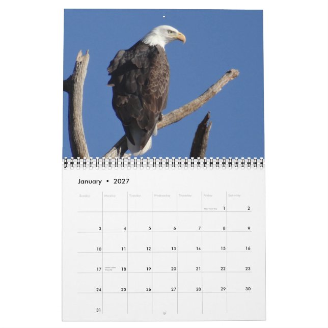 Calendrier Mural Oiseaux de l'Amérique du Nord - 2015 (Jan 2027)