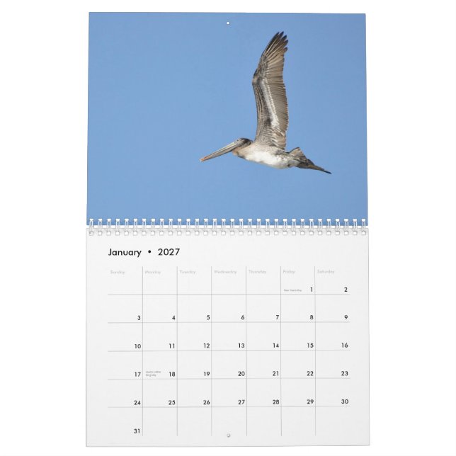 Calendrier Mural Oiseaux du nord-ouest Pacifiques (Jan 2027)