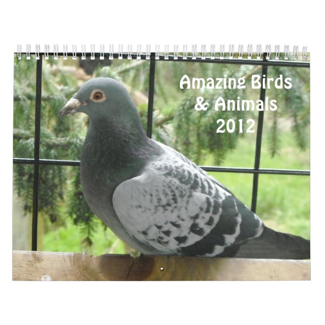 Calendrier Mural Oiseaux et Animaux Incroyables 2012 (Protection)