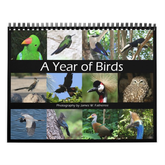 Calendrier mural Oiseaux variés par J.W. Fatherree (Protection)