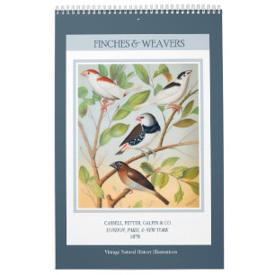 Calendrier Mural Oiseaux vintages - Finches et tisserandes 2025