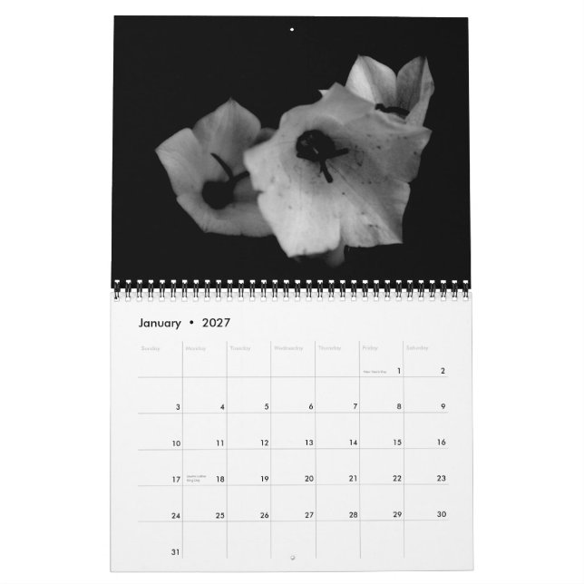 Calendrier Mural Ombres (Jan 2027)