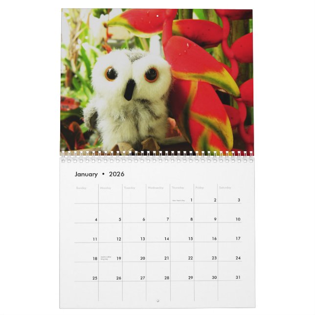 Calendrier Mural Ophélie et amis 2009 (Jan 2026)