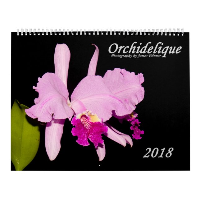 Calendrier Mural Orchidées par Orchidelique (Protection)