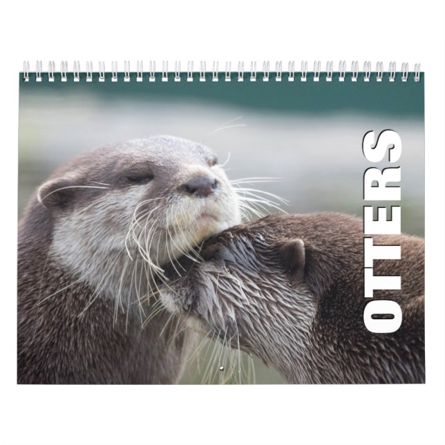 Calendrier mural Otter (Protection)