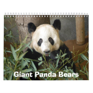 Calendrier Mural panda117, ours panda géants