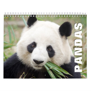 Calendrier mural Pandas