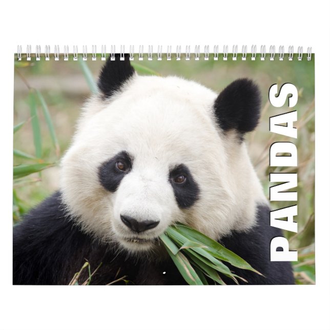 Calendrier mural Pandas (Protection)