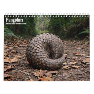 Calendrier mural Pangolins 2027
