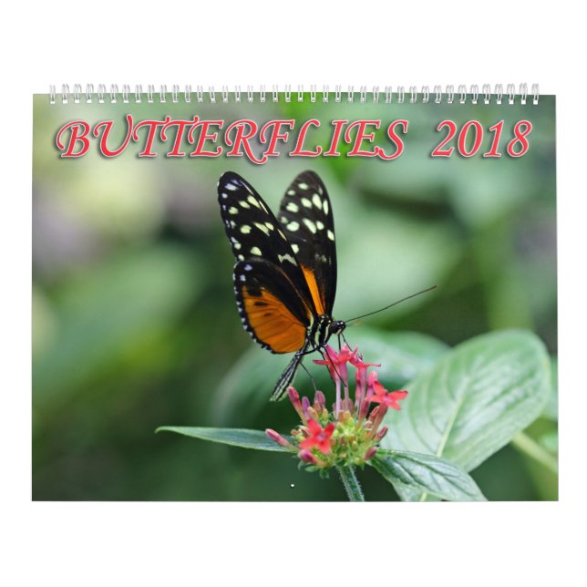 Calendrier Mural Papillons 2018 (Protection)