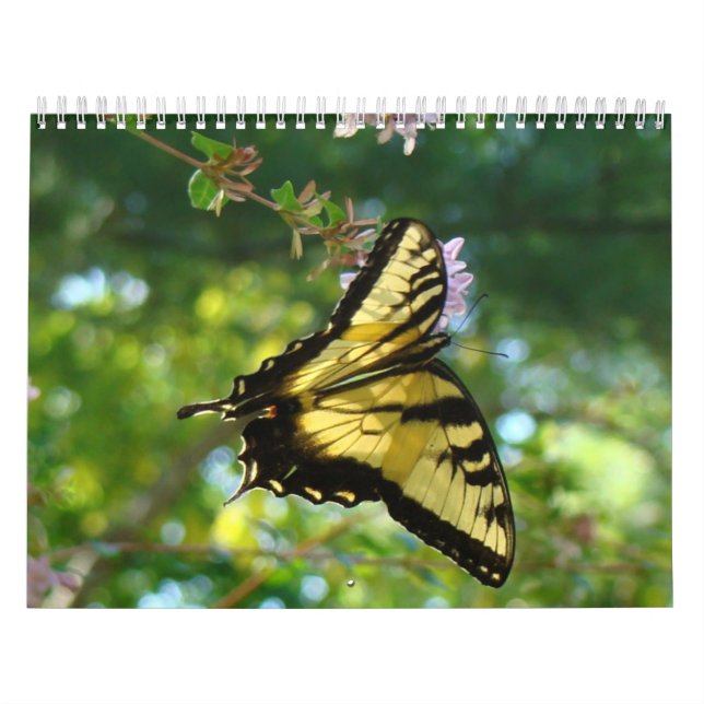 Calendrier Mural Papillons et fleurs (Protection)