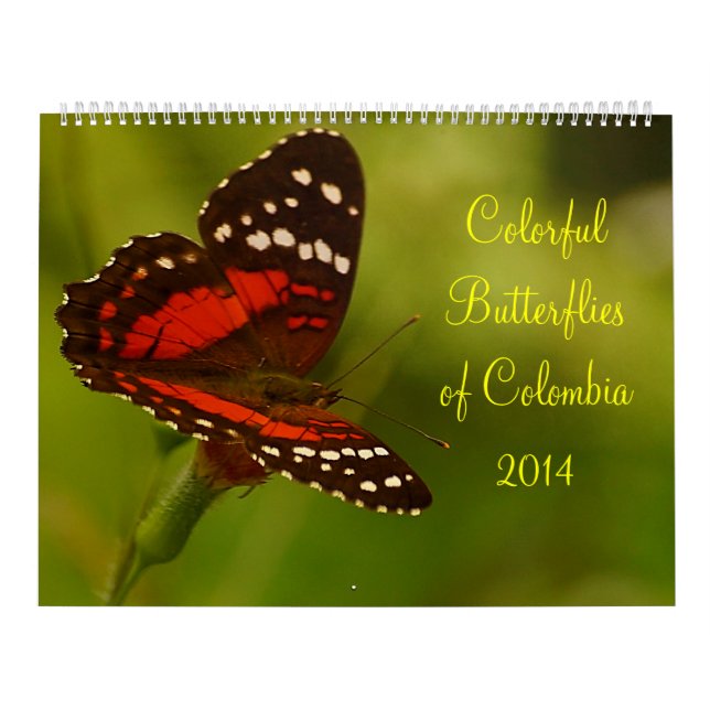 Calendrier Mural Papillons tropicaux de Colombie (Protection)
