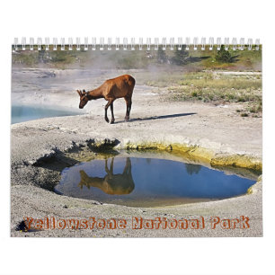 Calendrier Mural Parc national de Yellowstone