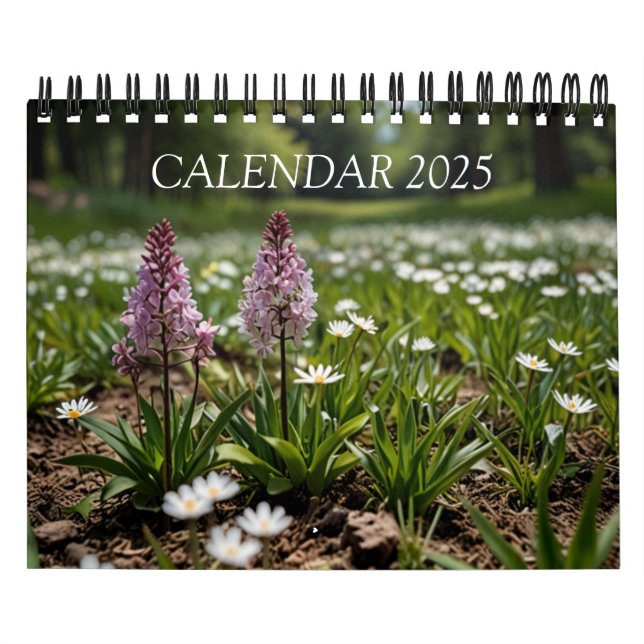 Calendrier mural paysager 2025 (Protection)