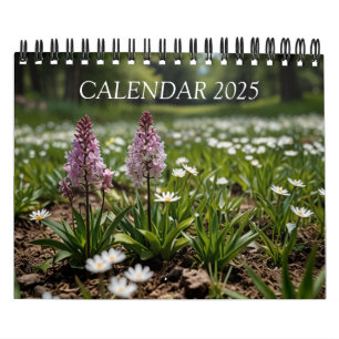 Calendrier mural paysager 2025