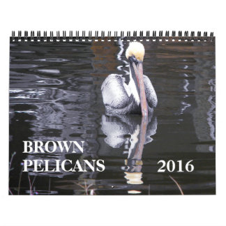 Calendrier Mural Pélicans Brown