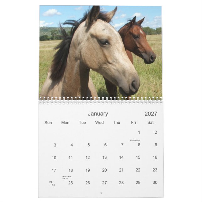 Calendrier Mural Photographie des chevaux (Jan 2027)