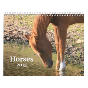 Calendrier Mural Photographie des chevaux