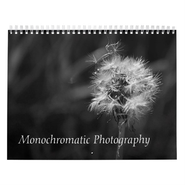 Calendrier Mural Photographies en noir et blanc Animaux Paysages Oi (Protection)