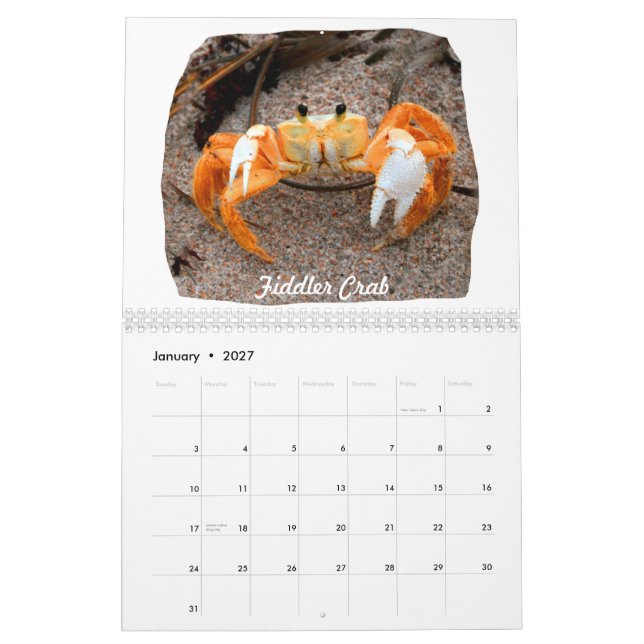 Calendrier Mural Photos d'images de plage de la Floride (Jan 2027)