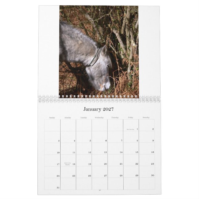 Calendrier Mural PICS aléatoire C de Ricks 2008… (Jan 2027)