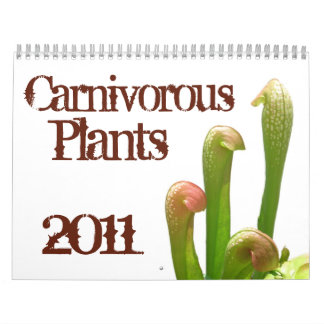 Calendrier Mural Plantes carnivores