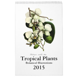 Calendrier Mural Plantes tropicales 2015