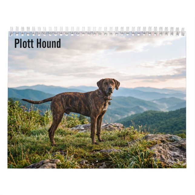 Calendrier mural Plott Hound 2027 (Protection)