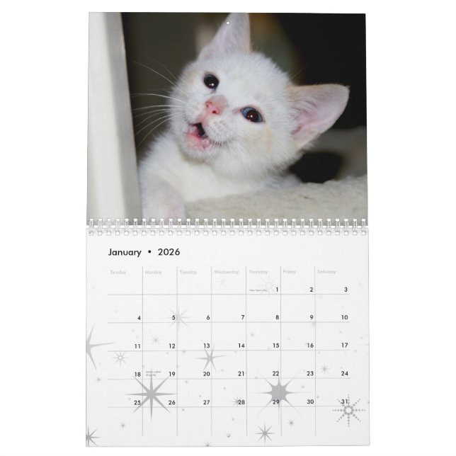 Calendrier Mural Plus de chatons ! (Jan 2026)
