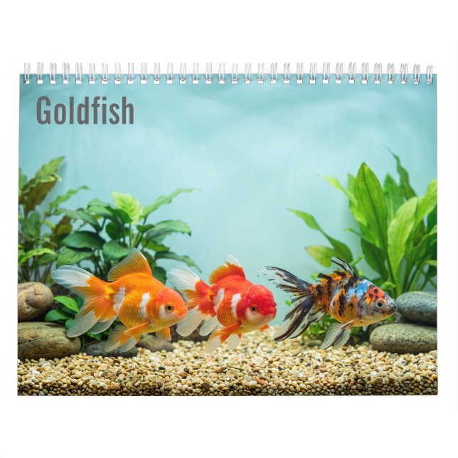 Calendrier mural Poisson rouge 2027 (Protection)