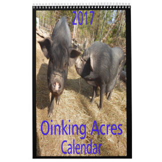 Calendrier Mural Porcs d'acres d'Oinking mini