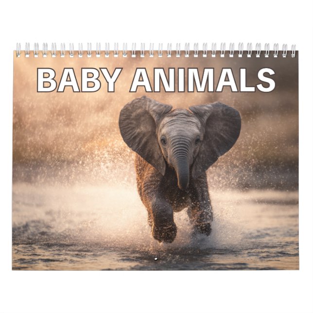 Calendrier mural pour les amoureux des animaux | B (Protection)