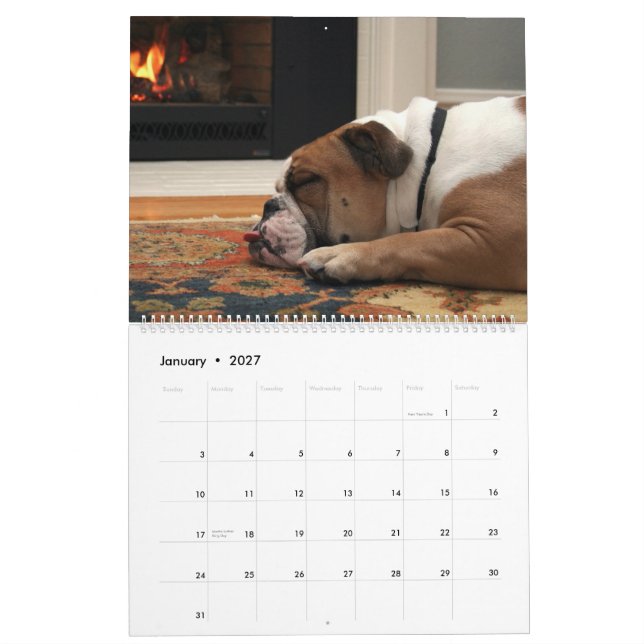 Calendrier Mural Pumbaa (Jan 2027)