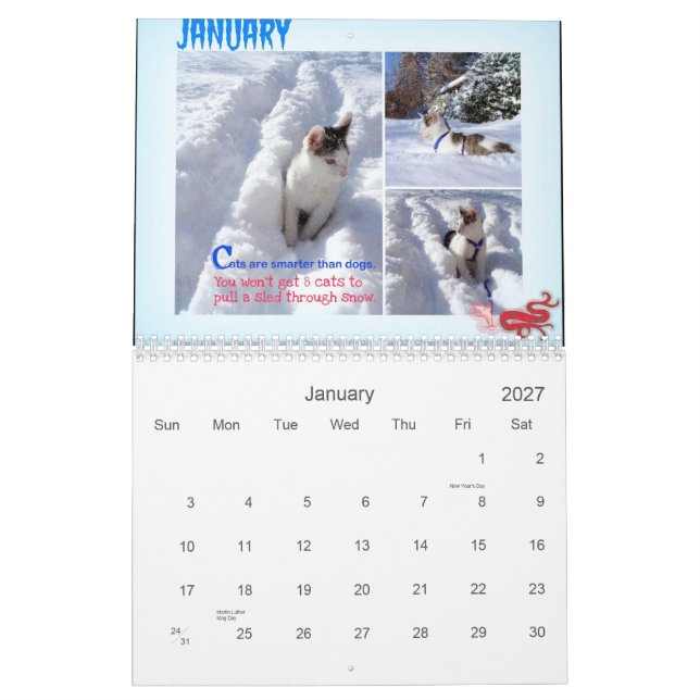 Calendrier Mural Quatre saisons de la sagesse 101 de chat (Jan 2027)