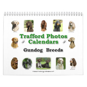 Calendrier Mural Races de chien de chasse