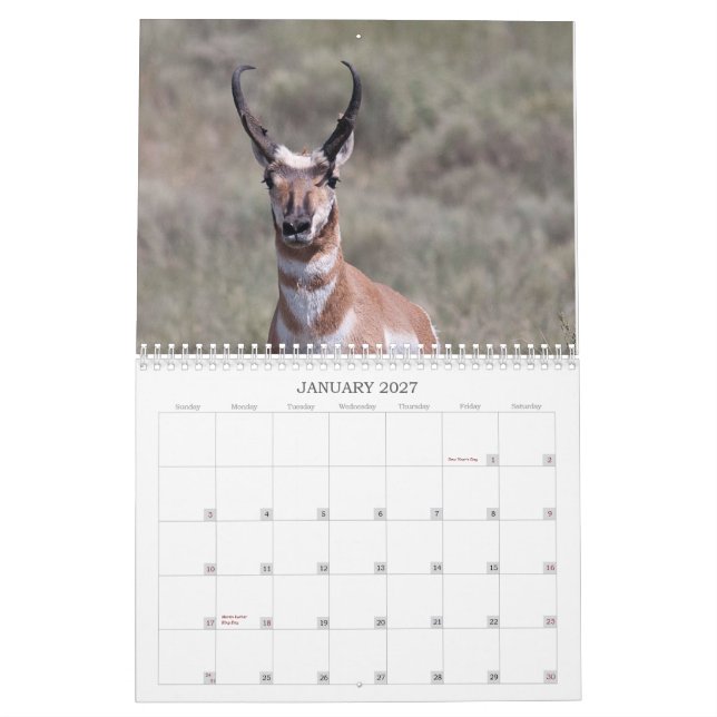 Calendrier Mural Ranch de 2012 puits (Jan 2027)