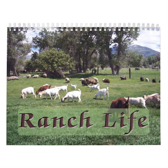 Calendrier Mural Ranch Life at the Blackman Ranch (Protection)