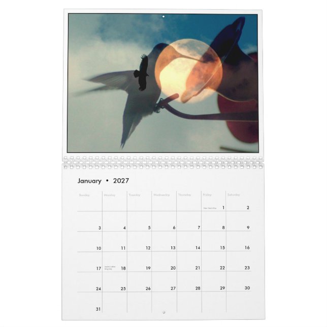 Calendrier Mural Réflexions de nature (Jan 2027)