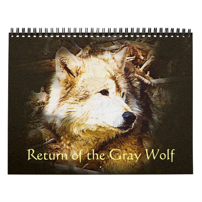 Calendrier Mural Retour du loup gris (Protection)
